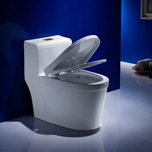 陶瓷坐便器如何挑選？